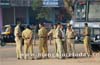 Ullal : 20 taken into custody for vandalism; security stepped up